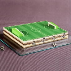 01568 0backdecorfussballfeldaufleger.02jpg Günthart Schulanfang