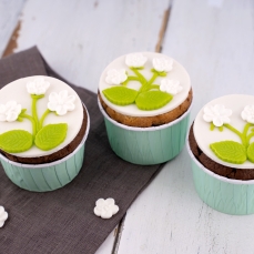 4225 Günthart Fondant / Rollfondant / Rohmassen