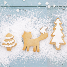 669 451 Keksausstecher Polarfuchs Cuttersweet Winter