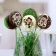 Gallery Bild