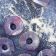 Gallery Bild