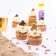 Gallery Bild