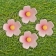 Gallery Bild