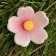 Gallery Bild