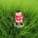 Gallery Bild