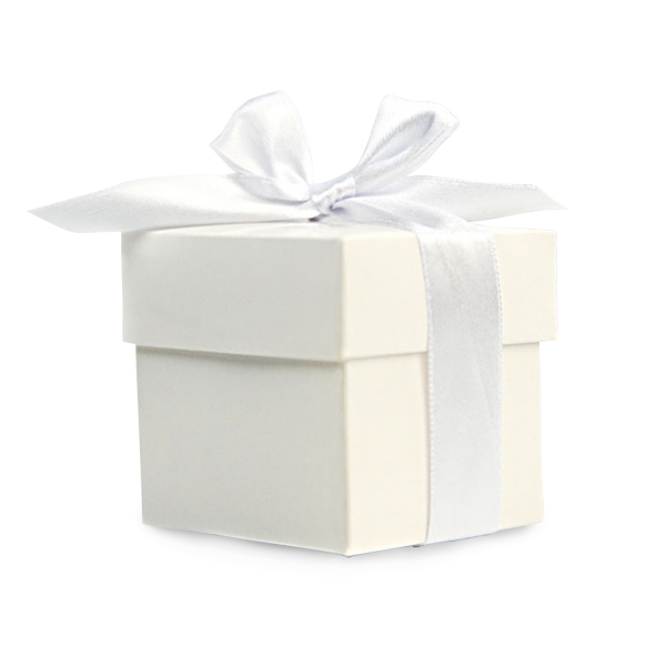 505 510kleinegeschenkboxenweiss partydeco Geschenktüten & Verpackungen Geschenkbox-Gastgeschenk-Hochzeitsgeschenk-Geschenkband-Weiss