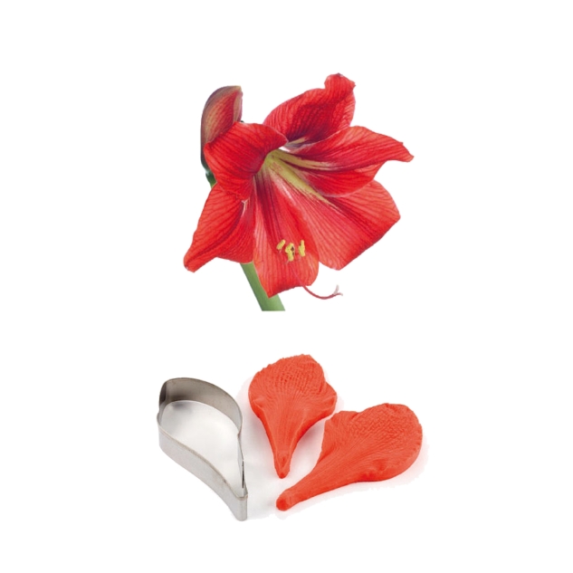 1 Veiner/Prägewerkzeug Amaryllis 