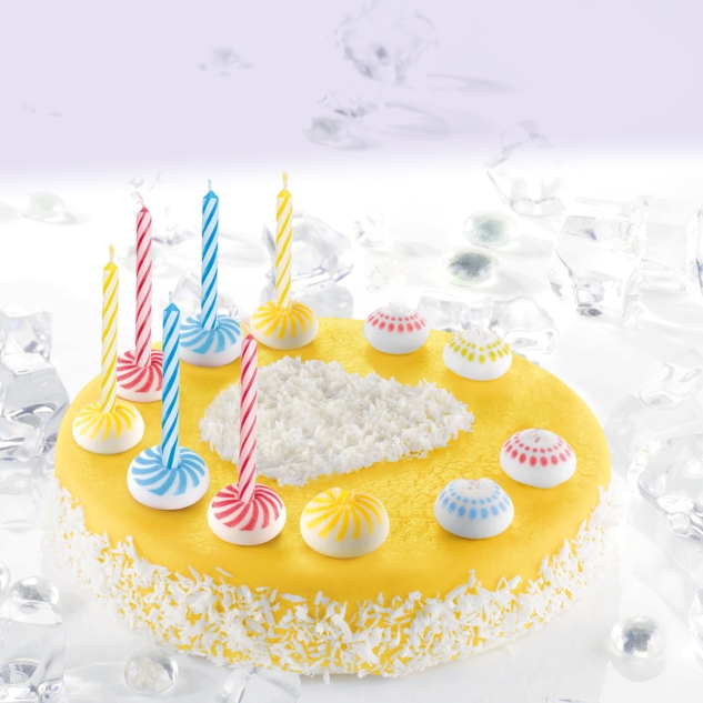 BackDecor 12 bunte Wachskerzen mit Zuckerkerzenhalter - langsam abbrennend 