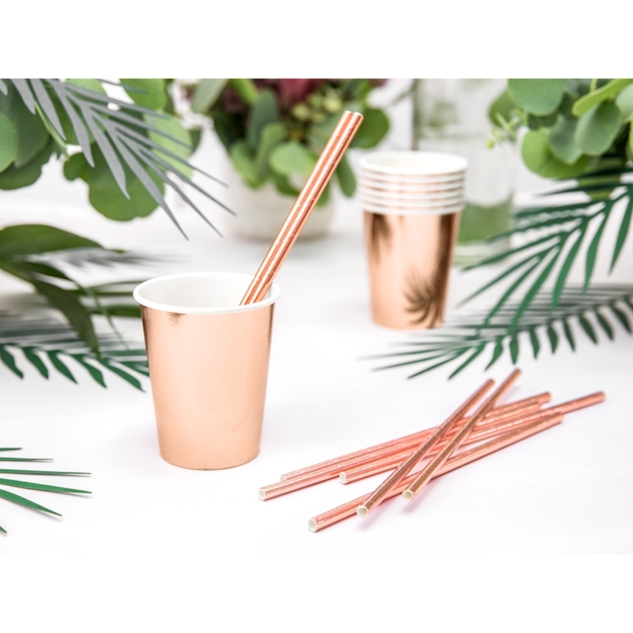 10 Papier Strohhalme, rosegold, 19,5cm 