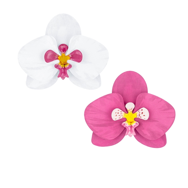 6 DIY Orchideen aus Papier, pink - weiß 