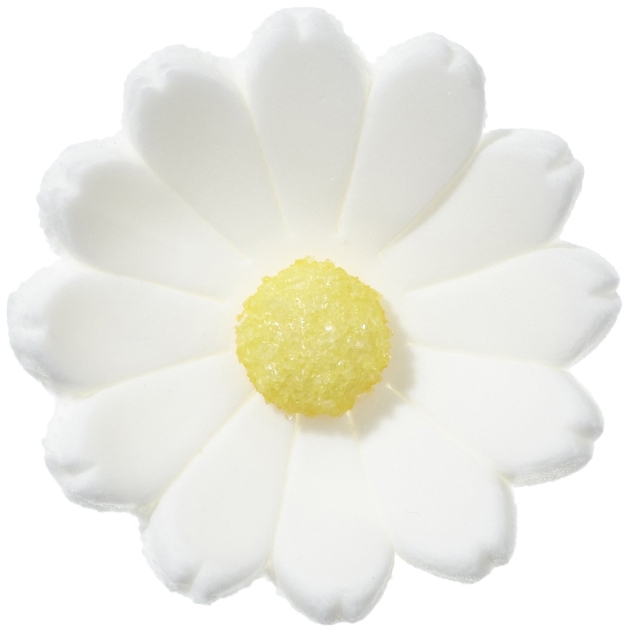 60 Feinzucker Margeriten, weiss 