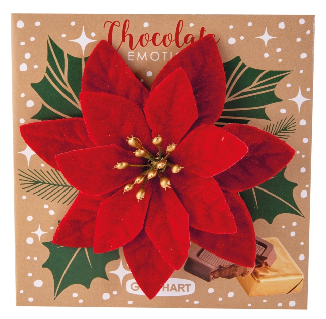 10 Stück Pralinenpräsent Weihnachtsstern 