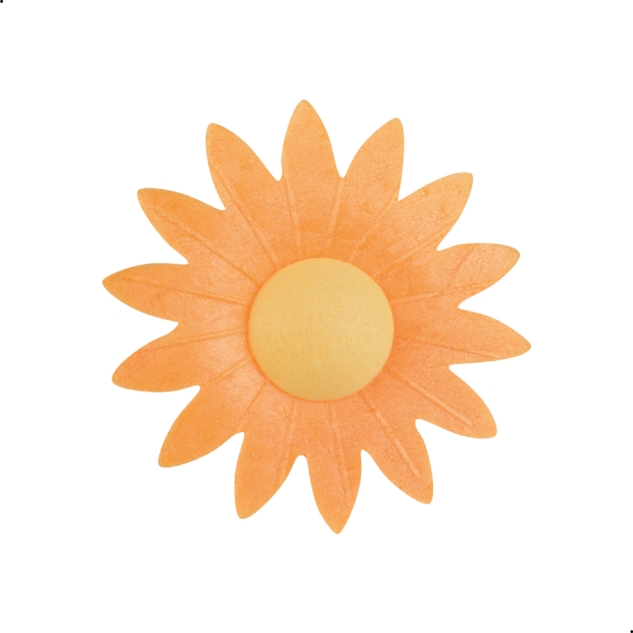 100 Stück Oblaten Margeriten bunt in 5 Farben rosa, weiß, gelb, rot, orange, blau 