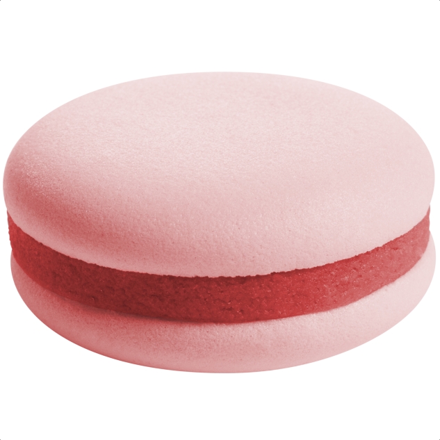 Günthart 10 bunte Makkarons vegan in rosa, gelb, grün, blau, lila 