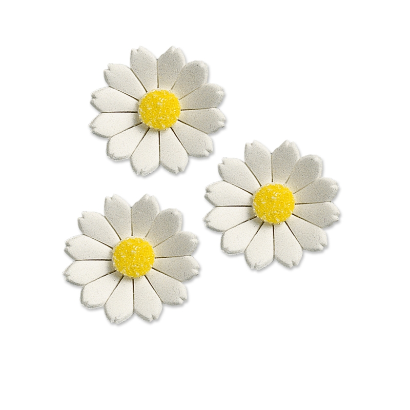 60 Feinzucker Margeriten, weiss 
